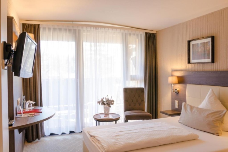 Standard Double room with balcony and with view
