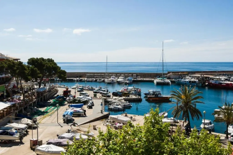 Standard Double room with balcony and with sea view