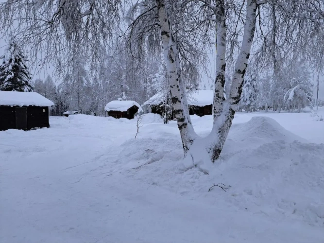 Cottage