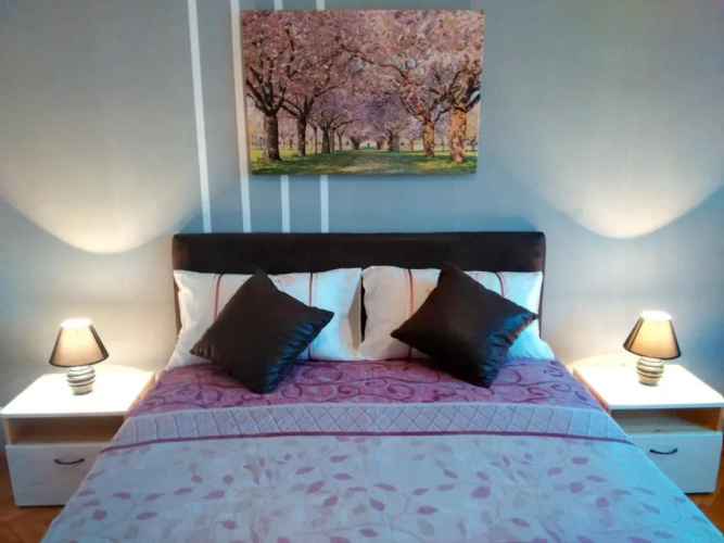 Apartment Premija