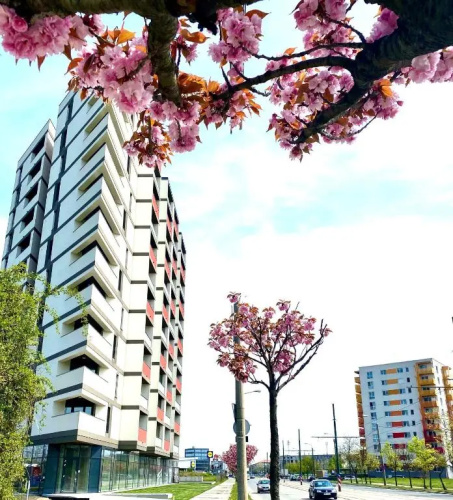 Sky Apartment