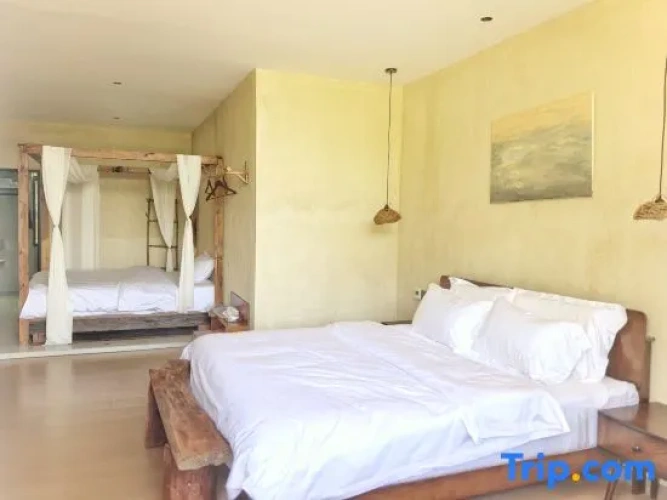 Standard Double room with view