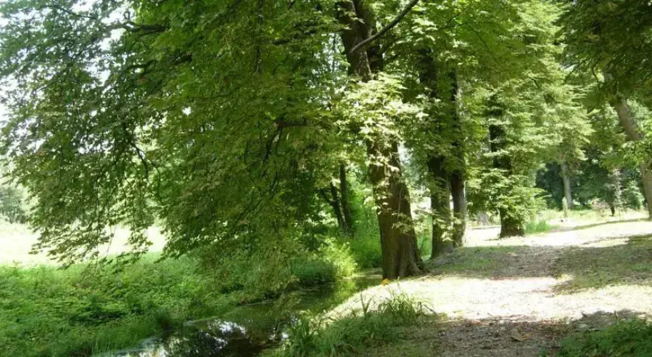 Dwór Udrycze