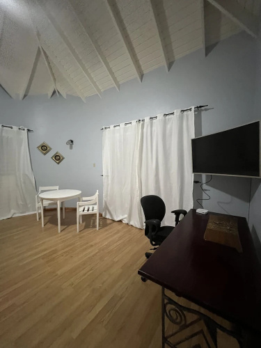 Studio Chateau - Manor Park, Kingston 8