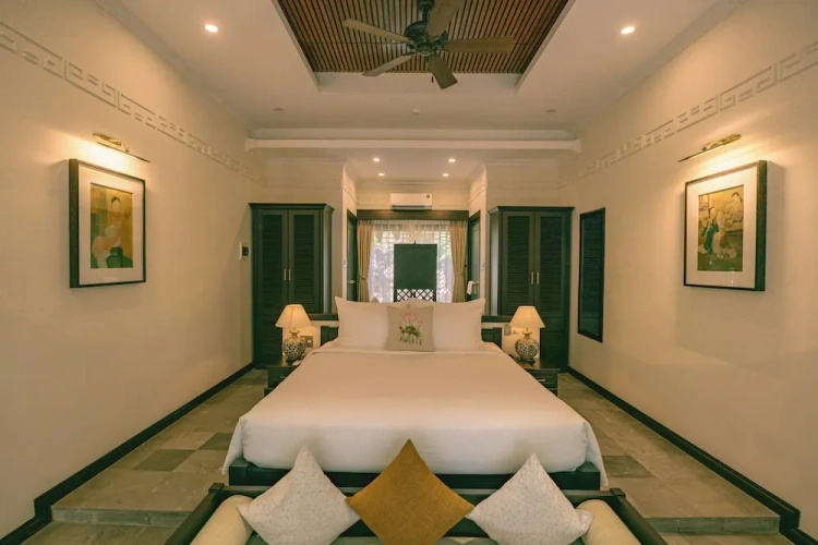 Premium Suite