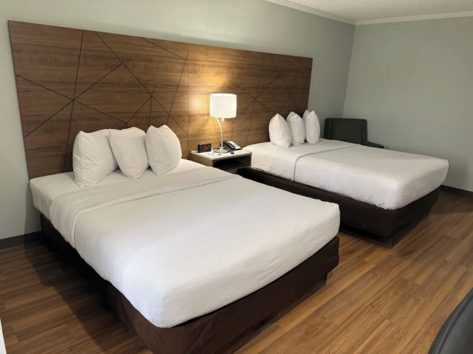 Quadruple Suite