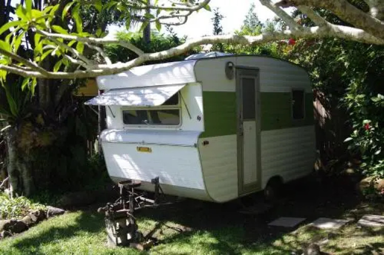 The Tree House, 6 Gowing Street
