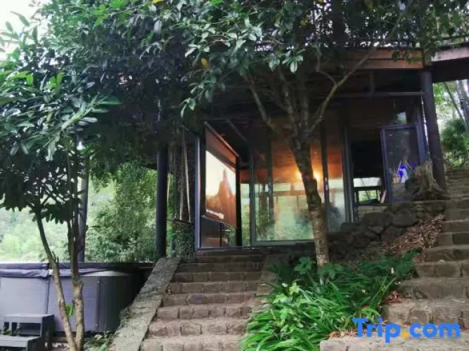 Tree House Guesthouse