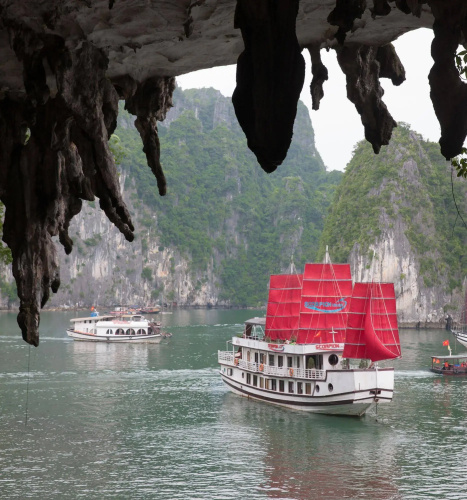 Scorpion Cruise
