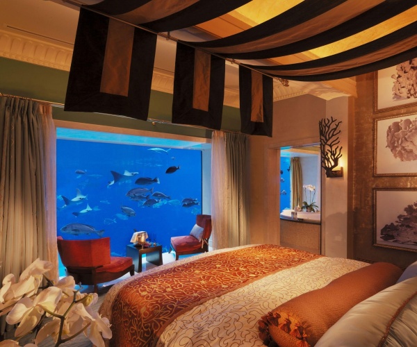 Atlantis, The Palm photo 25