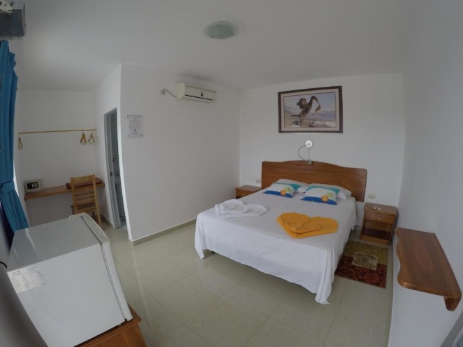 Standard Double room with pool view