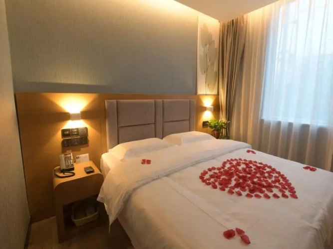 Single Suite