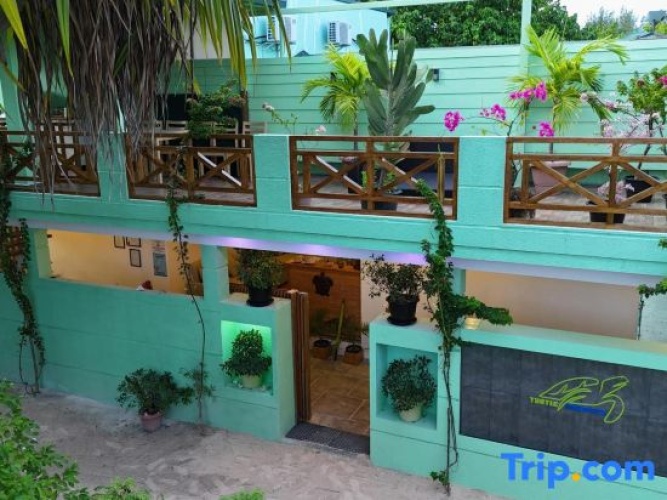 Turtle Maldives - Your Gateway to the Beach & Marine Adventures Await!