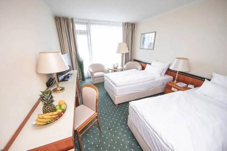 Standard Twin room with balcony and with garden view