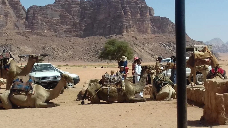 Bedouin Hostel