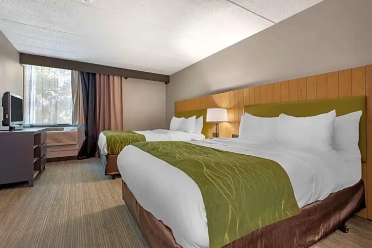 Executive Quadruple Suite