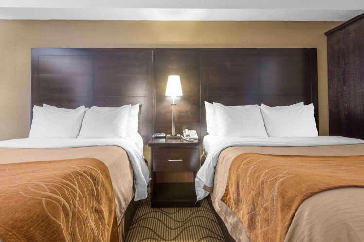 Comfort Inn Airport North Bay photo 6