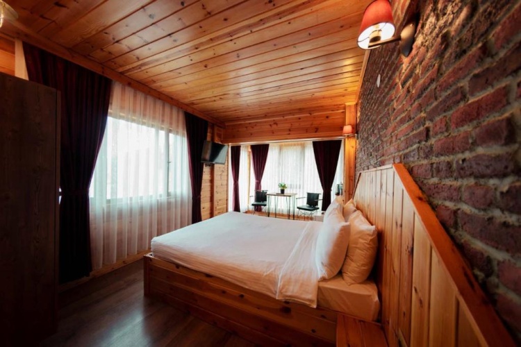 Standard Double room with mountain view