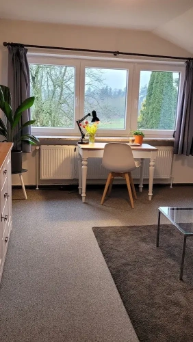 Comfort Suite