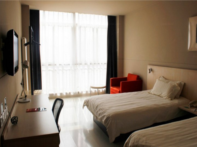 Standard Suite