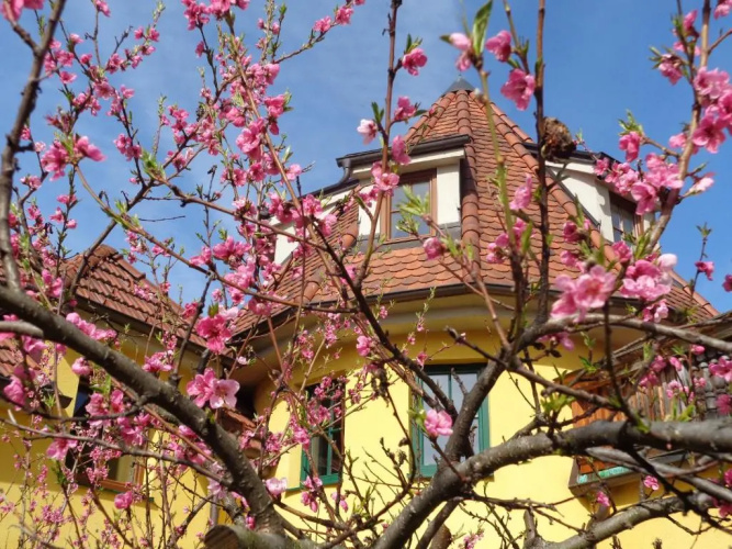 Pension Himmelreich