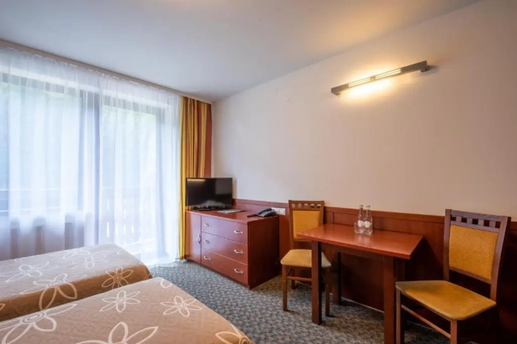 Standard Twin room with balcony