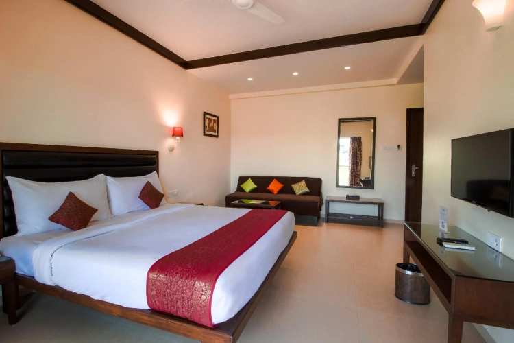 Deluxe Double room with balcony and with view