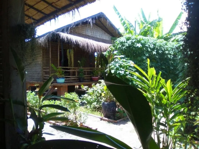 Bungalow with garden view