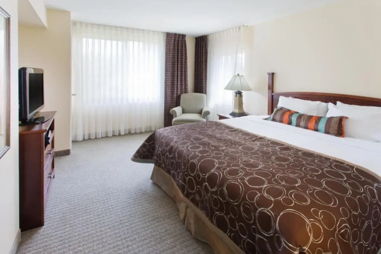1 Bedroom Double Suite