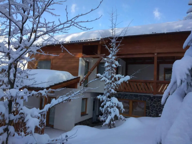 Pintea Chalet