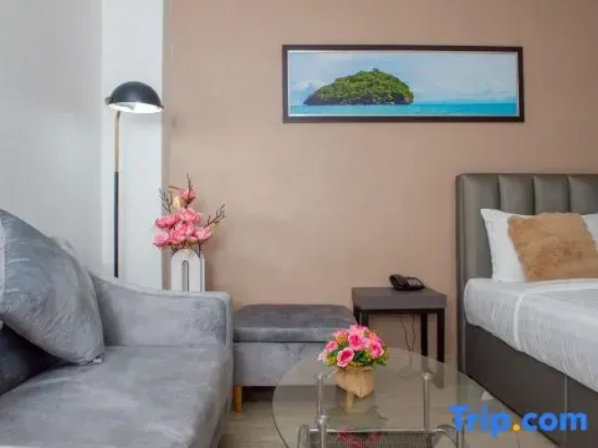 Standard Double room with city view