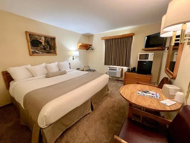 Standard Double room