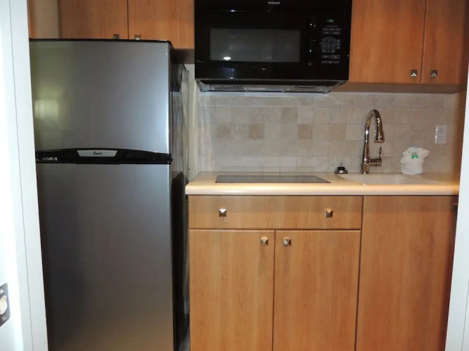 1 Bedroom Deluxe Suite with ocean view