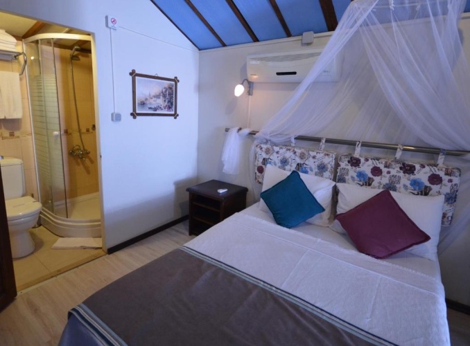 Standard Double room with balcony and with view