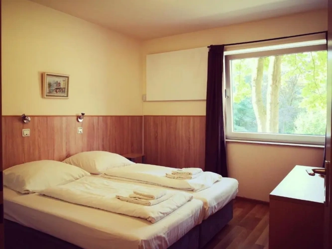 Standard Double room with garden view