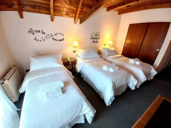 Standard Triple Basement room
