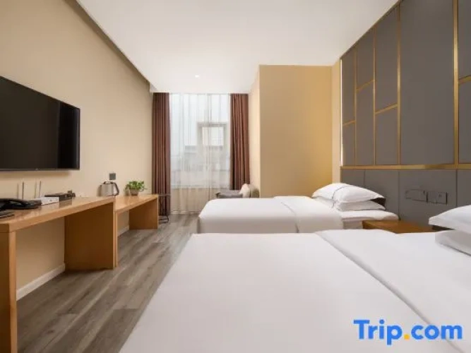 Standard Twin room with city view