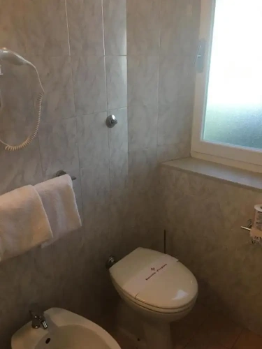 Standard Double room with balcony and with ocean view