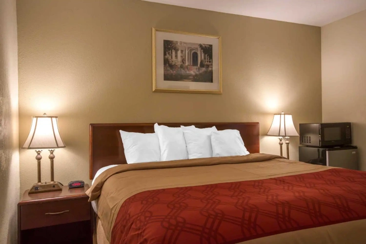 Standard room with view