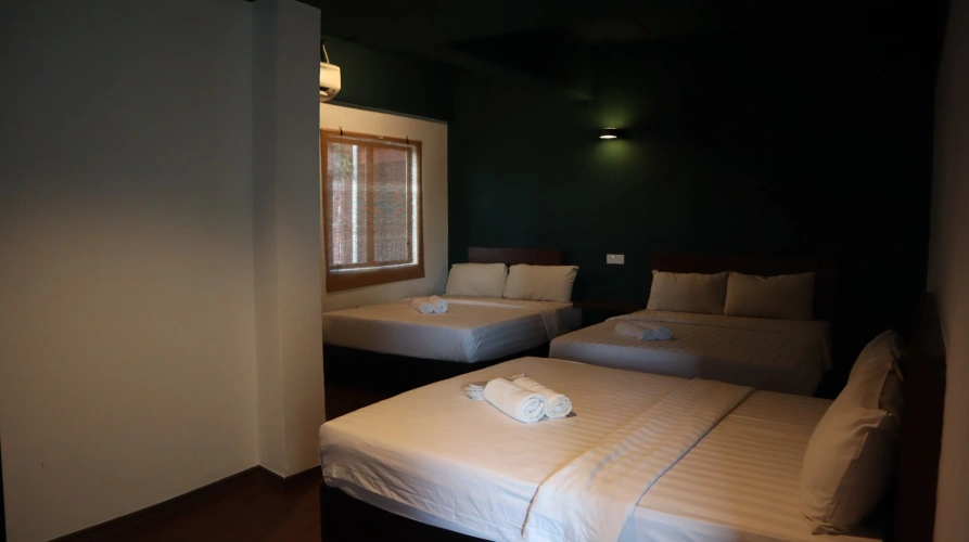 Family Suite
