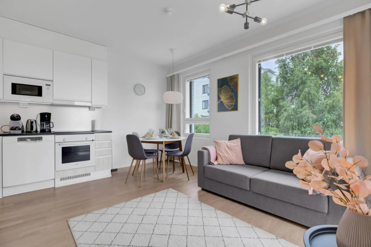 Apartment Scandinavia II