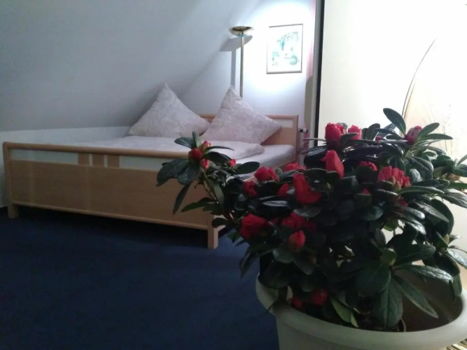 Hotel Rodewisch