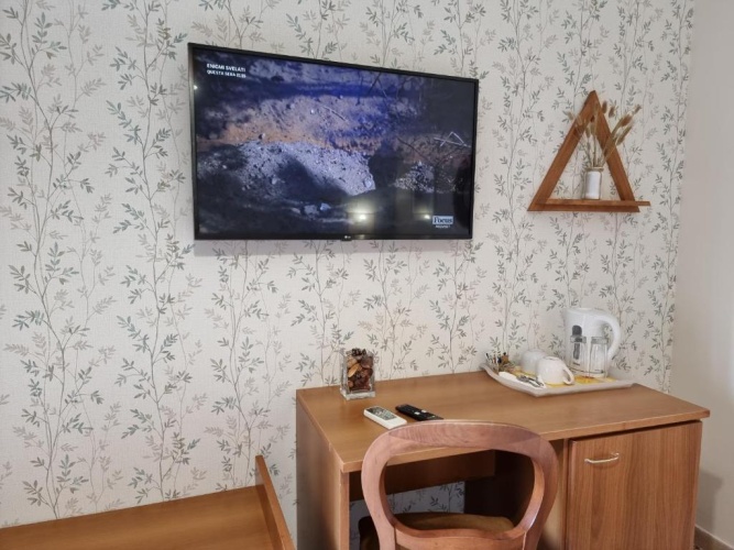 Standard Double room with garden view