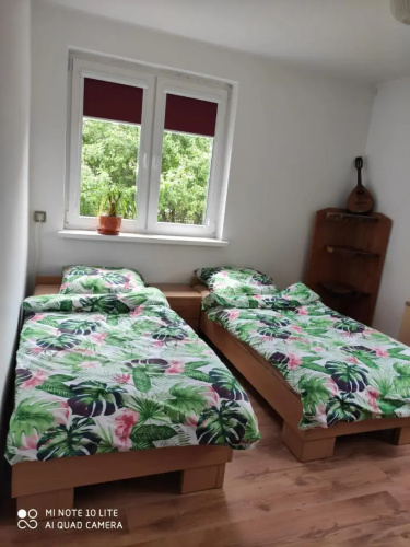 Gromadzyniówka-Pod czarnym kogutem