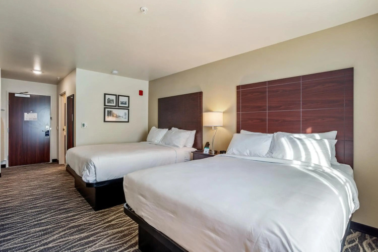 Cobblestone Hotel & Suites-Little Chute