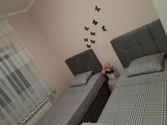 Basement Apartment