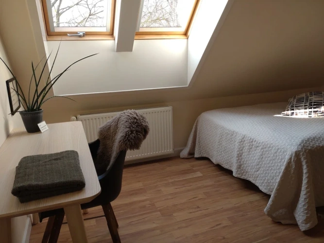Comfort Single Basement room