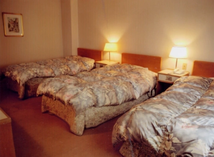 Superior Double room