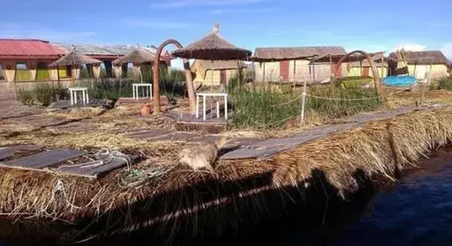 Titikala Uros