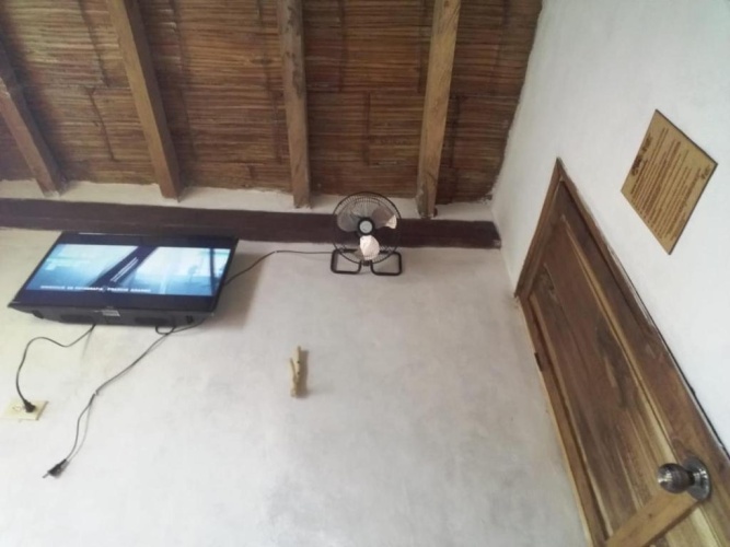 Standard Double room with pool view